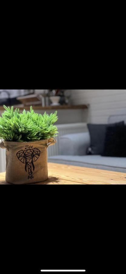 Minihane Sapanca Ngoại thất bức ảnh